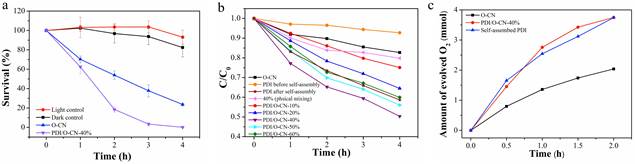 色情网站新闻
稿
